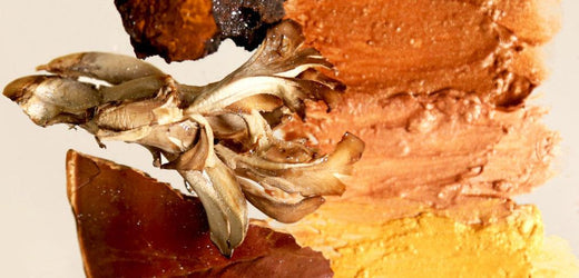 Mushrooms Benefits For Skin: The Superfood Your Skin Needs - cocokind