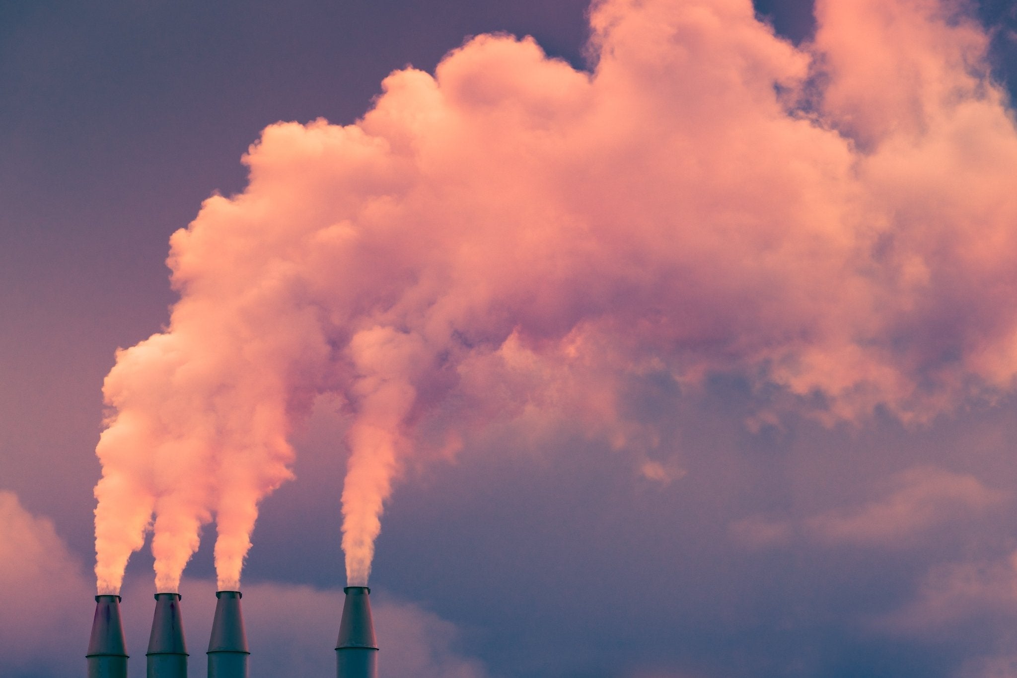 Why we’re taking the new stance of credit quality over carbon neutrality - cocokind