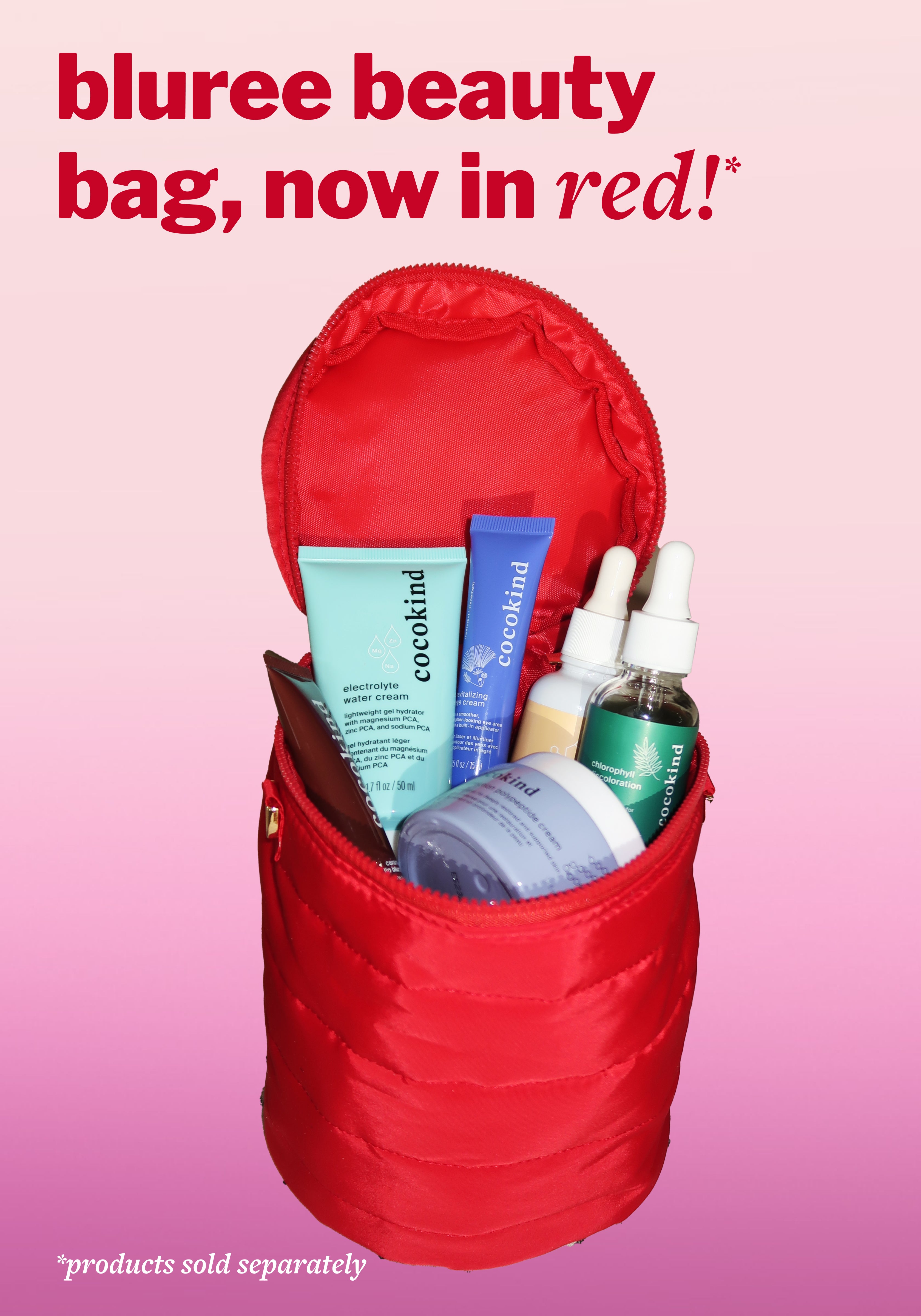 Bluree Beauty Bag - cocokind