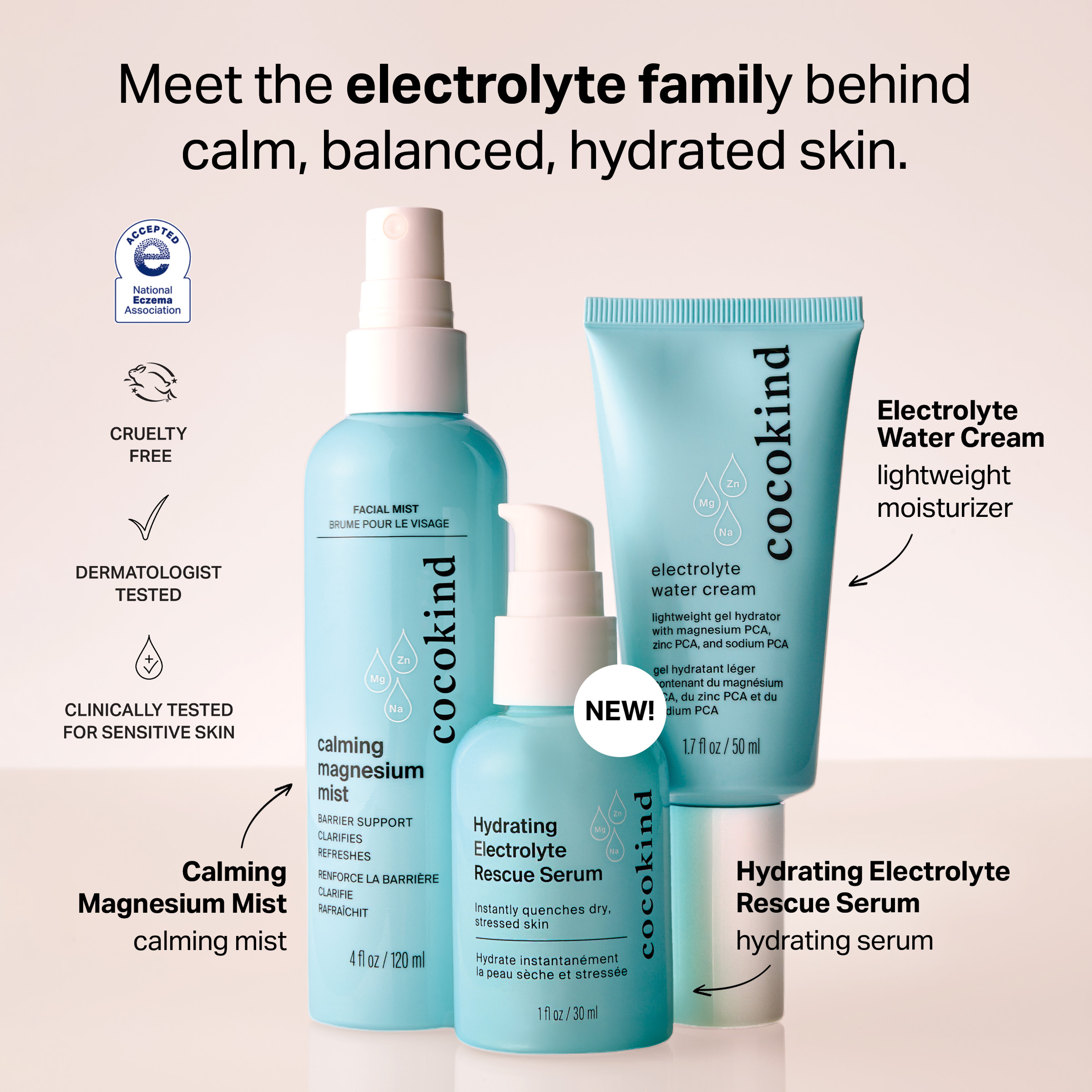 electrolyte family bundle - cocokind